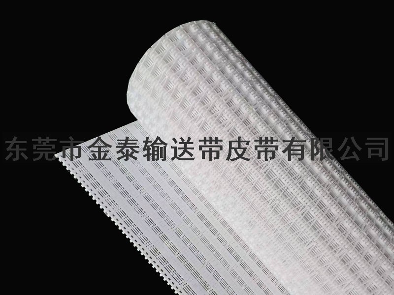  Z型提升機輸送網(wǎng)鏈
